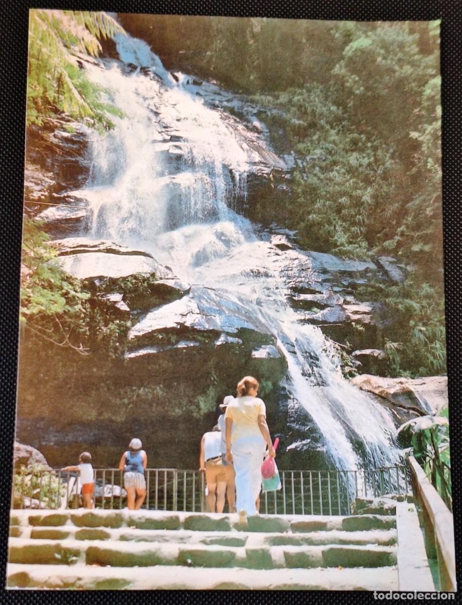 Postales: LAMINA POSTAL GRANDE (21 X 15) EN COLOR DE RIO DE JANEIR0 - CASCADA (FLORESTA DE TIJUCA) - NUEVA