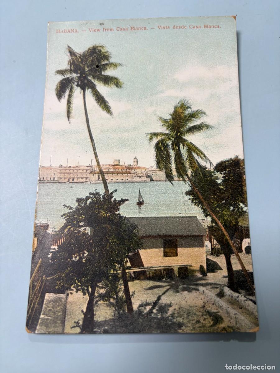 Postales: TARJETA POSTAL. CUBA. LA HABANA. VISTA DESDE CASA BLANCA. BAH&Iacute;A Y PALMERAS. ANTIGUA.