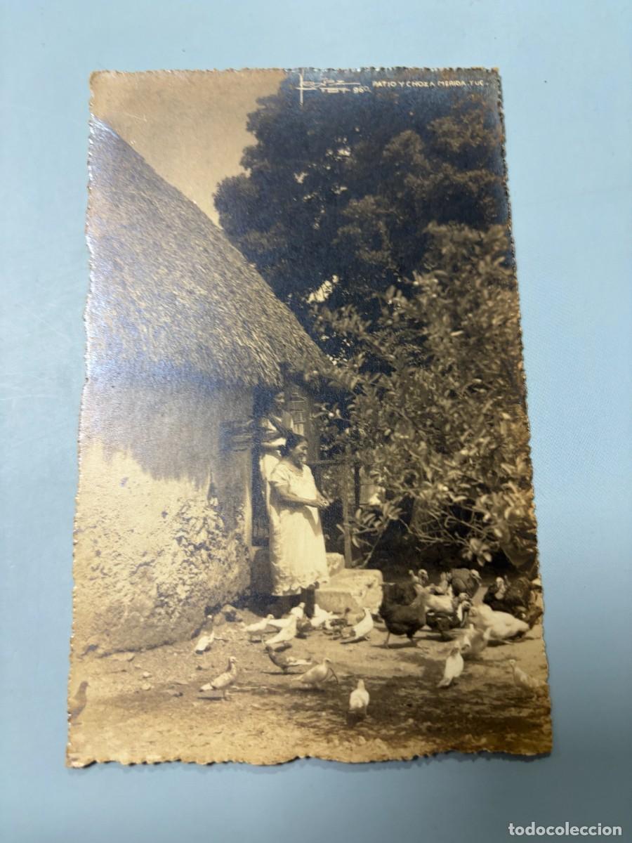 Postales: TARJETA POSTAL FOTOGR&Aacute;FICA. M&Eacute;XICO. PATIO Y CHOZA. MUJER ALIMENTANDO AVES DE CORRAL. KODAK.
