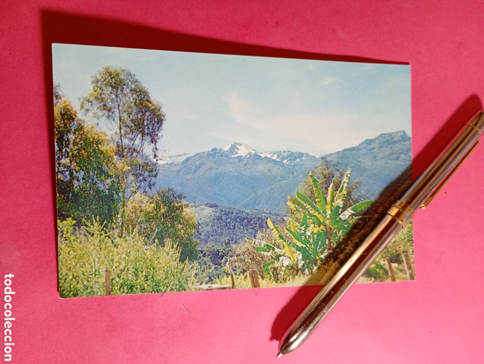 Postales: ANDES VENEZOLANOS ''PICO BOLIVAR'' VENEZUELA color escrita detalles en fotos