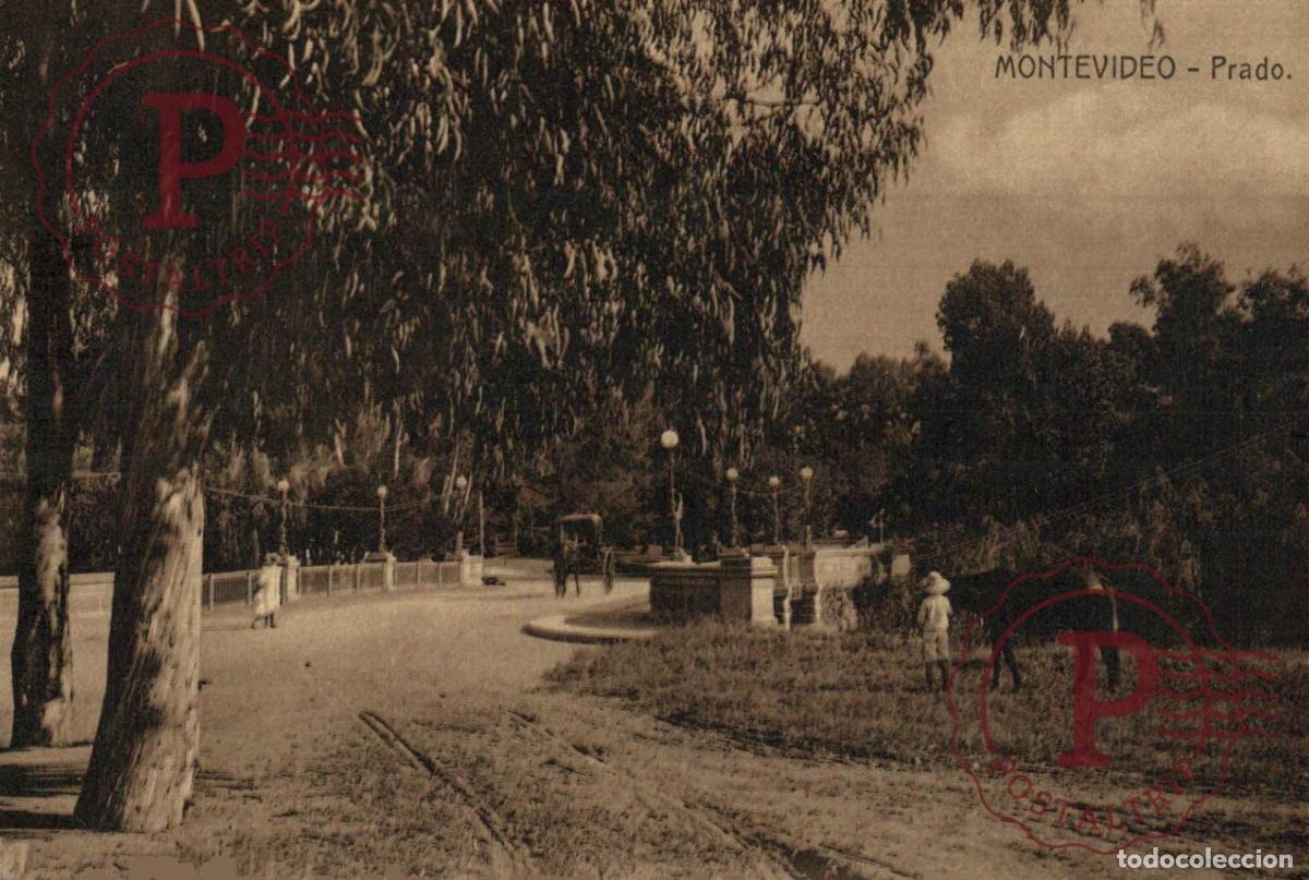Postales: URUGUAY. MONTEVIDEO. PRADO.