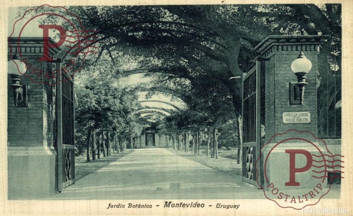 Postales: URUGUAY. MONTEVIDEO. JARDIN BOTANICO. - Foto 1