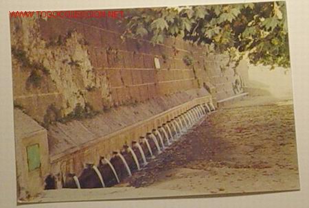 Postales: POSTAL 9-LOJA-GRANADA.FUENTE DE LOS VEINTICINCO CA&Ntilde;OS.No circulada.