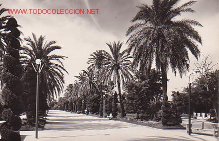 Postais: TARJETA POSTAL DE CADIZ. N&ordm; 26, - PARQUE GENOVES.