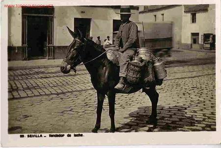 Postales: SEVILLA - Foto 1