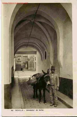 Postales: SEVILLA - Foto 1