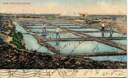 Postais: CADIZ , SALINAS