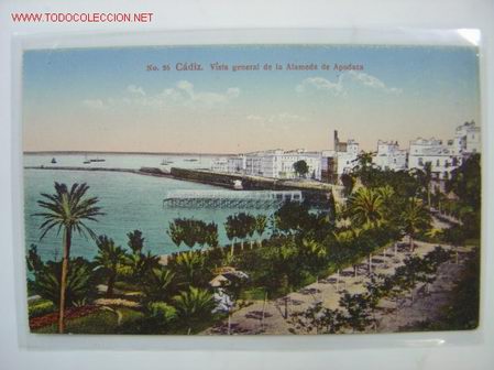 Postales: CADIZ Vista general de la Alamada de Apodaca
