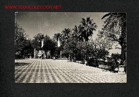 Postales: Postal de CADIZ:  24 - Alameda Marques de Comillas. Ediciones Sicilia