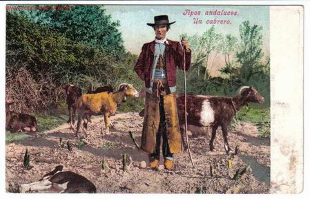 Postales: SEVILLA , COSTUMBRISTA - Foto 1