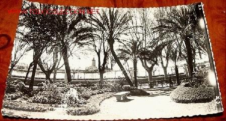 Postales: ANTIGUA POSTAL DE MALAGA -JARDINES DEL PARQUE