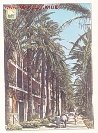 Postales: 76-TORREMOLINOS-COSTA DEL SOL-PASEO DE LA PALMERA.LA ROCA.No circulada.