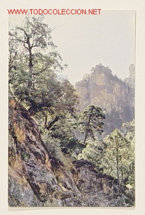 Postales: SIERRA DE CAZORLA-GARGANTA DE LA AGRACEA.No circulada.