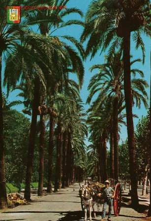 Postales: POSTAL 1962 MALAGA - Foto 1