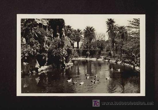 Postais: Postal de CADIZ: Parque genov&eacute;s (Ed.Garcia Garrabella num.43)