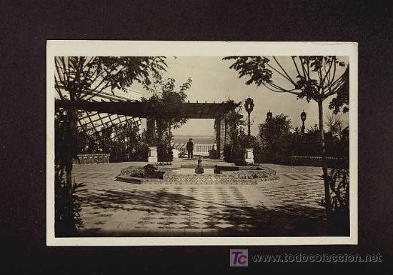 Postais: Postal  de CADIZ: Vista parcial de la Alameda