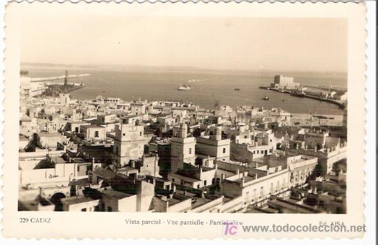 Cartoline: TARJETA POSTAL DE CADIZ. N&ordm; 229. VISTA PARCIAL. ED. AISA.
