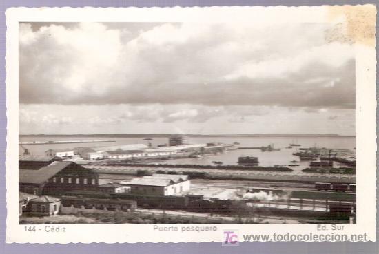 Cartoline: TARJETA POSTAL DE CADIZ. N&ordm; 144. PUERTO PESQUERO. ED. SUR.