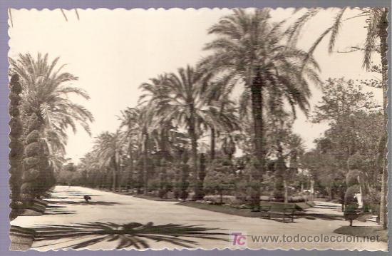 Postkarten: TARJETA POSTAL DE CADIZ. N&ordm; 41. PARQUE GENOVES. PASEO CENTRAL. ED. GARCIA GARRABELLA.