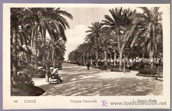 Postkarten: TARJETA POSTAL DE CADIZ. N&ordm; 62. PARQUE GENOVES. L. ROISIN FOTO.