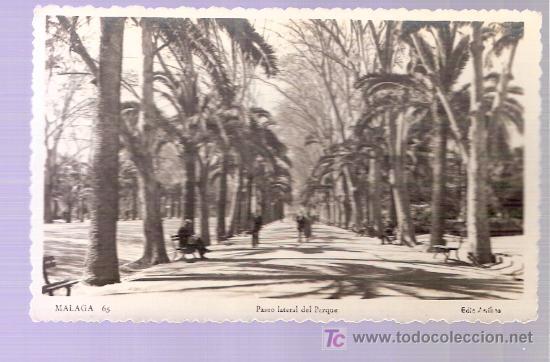 Cartoline: TARJETA POSTAL DE MALAGA. N&ordm; 65. PASEO LATERAL DEL PARQUE. ED. ARRIBAS.