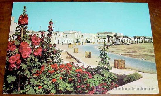 Postales: ANTIGUA POSTAL DE ROQUETAS DE MAR(ALMERIA) . PASEO MARITIMO . ORTAMA - ESCRITA