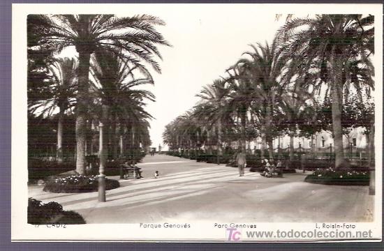 Postcards: TARJETA POSTAL DE CADIZ. N&ordm; 17. PARQUE GENOVES. L. ROISIN - FOTO.