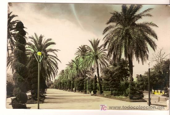 Postales: POSTAL DE CADIZ