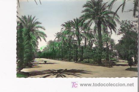 Postkarten: CADIZ-TARJETA POSTAL N&ordm;41.-PARQUE GENOVES. PASEO CENTRAL. EDIC. GARCIA GARRABELLA.-ZARAGOZA.