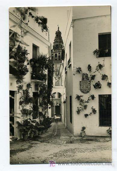 Postkarten: TARJETA POSTAL CORDOBA, CALLE DE LAS FLORES N&ordm; 45