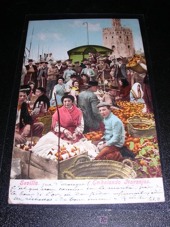 Postales: SEVILLA, EMBALANDO NARANJAS - Foto 1