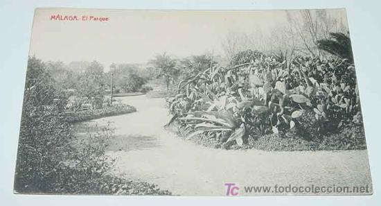 Postales: ANTIGUA POSTAL DE MALAGA - EL PARQUE - NO CIRCULADA - ED. THOMAS - SIN DIVIDIR.