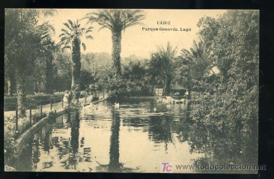 Postkarten: TARJETA POSTAL CADIZ, PARQUE GENOVES. LAGO, FOTOTIPIA HAUSER Y MENET
