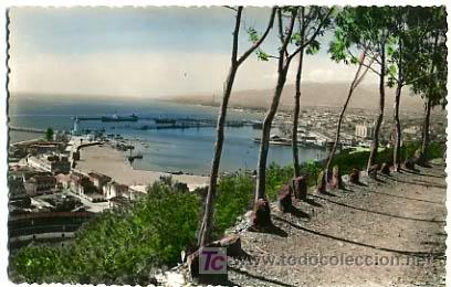 Postales: MALAGA,  PUERTO DESDE GIBRALFARO,            P14249