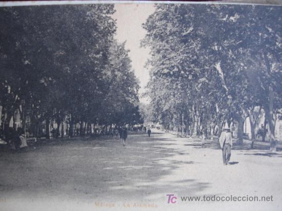 Postales: MALAGA,LA ALAMEDA