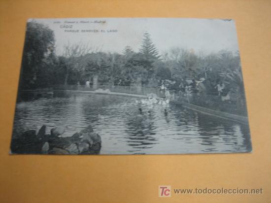 Postales: CADIZ PARQUE GENOVES - Foto 1