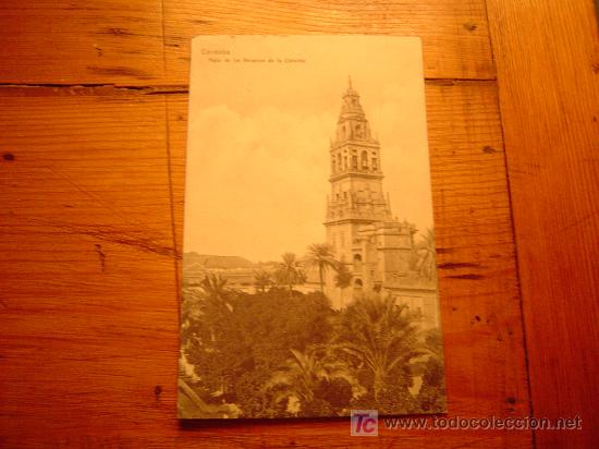 Postales: Postal de Cordoba patio de los narajos de la catedral