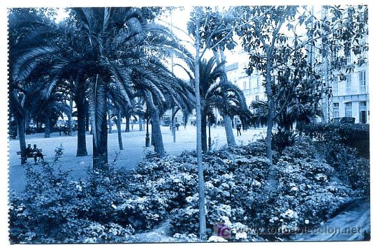 Postales: MALAGA,  PARQUE,                 P18357
