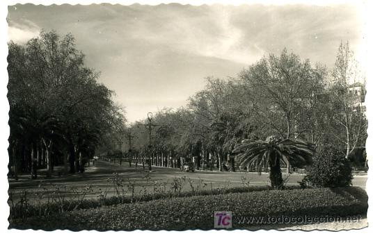 Postales: MALAGA, PASEO CENTRAL DEL PARQUE,                   P18370
