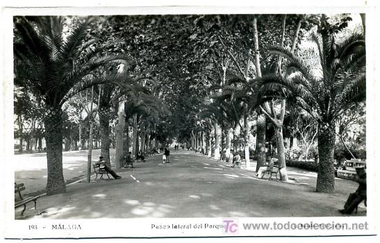 Postales: MALAGA, PASEO LATERAL DEL PARQUE,                   P18383