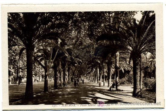 Postales: MALAGA, PASEO LATERAL DEL PARQUE,                   P18389