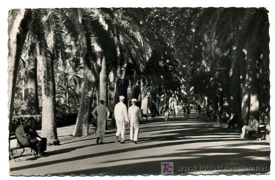 Postales: MALAGA, PASEO DEL PARQUE,             P18414