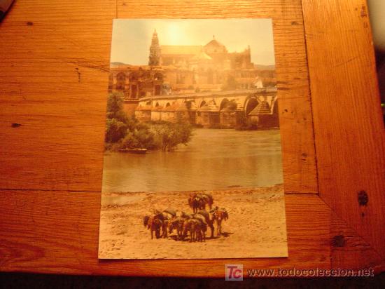Postales: Postal de C&oacute;rdoba. - Foto 1