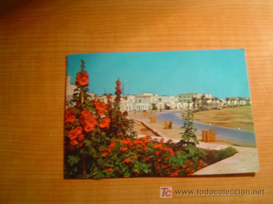 Postales: POSTAL  ROQUETAS DE MAR. COSTA DEL SOL (ALMERIA) CIRCULADA