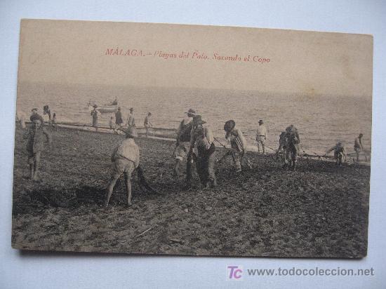 Postales: MALAGA- PLAYAS DEL PALO. SACANDO EL COPO - SIN CIRCULAR - ANIMADA