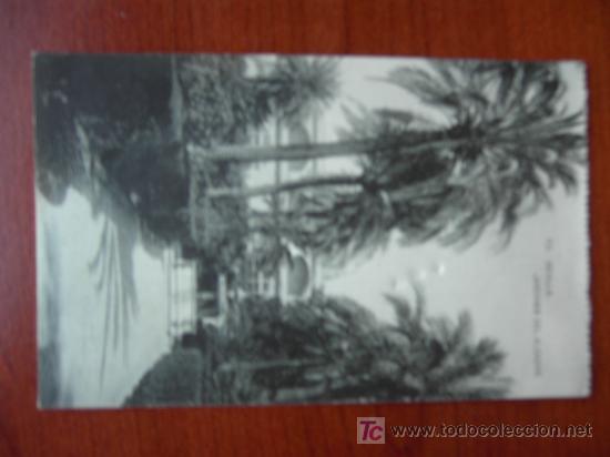 Postales: SEVILLA. - JARDINES DEL ALCAZAR - Foto 1