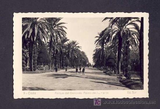 Postales: Postal de CADIZ: Parque del Genoves, Paseo de Palmeras (Ed.Sur num.9)