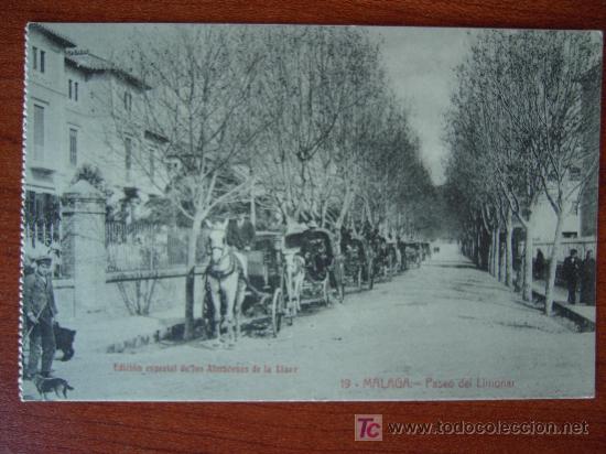 Postales: MALAGA - PASEO DEL LIMONAR