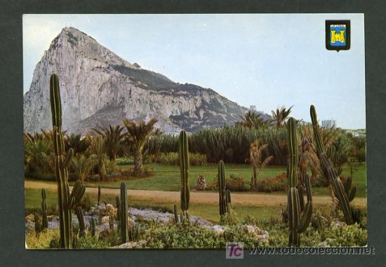 Postales: La Linea de La Concepci&oacute;n. Ed. Subirats Casanovas n&ordm; 56. Nueva.
