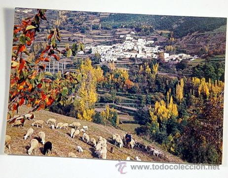 Postales: 3258-GRANADA.LAS ALPUJARRAS.PAMPANEIRA.No circulada.